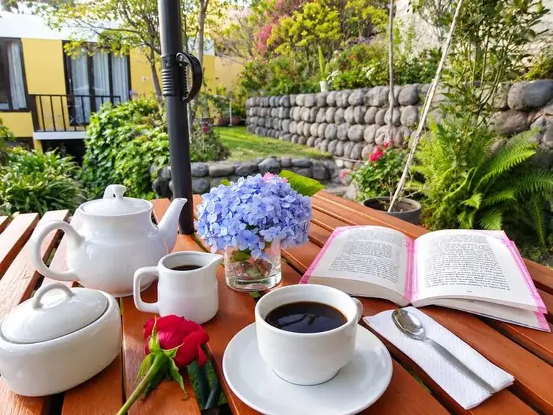Coffee and an open book on the garden terrace
