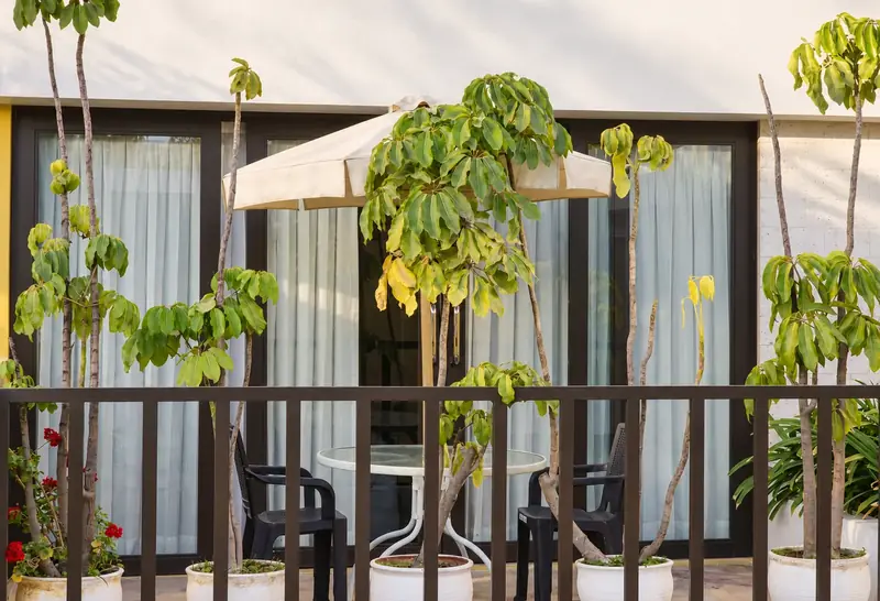 Terrace with a table, parasol and plants