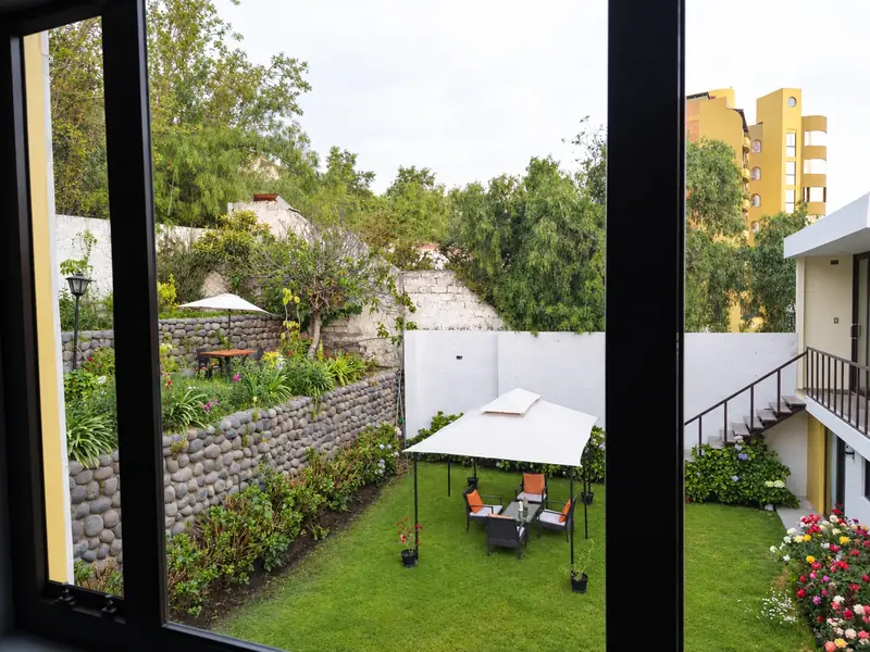 The garden seen through a window